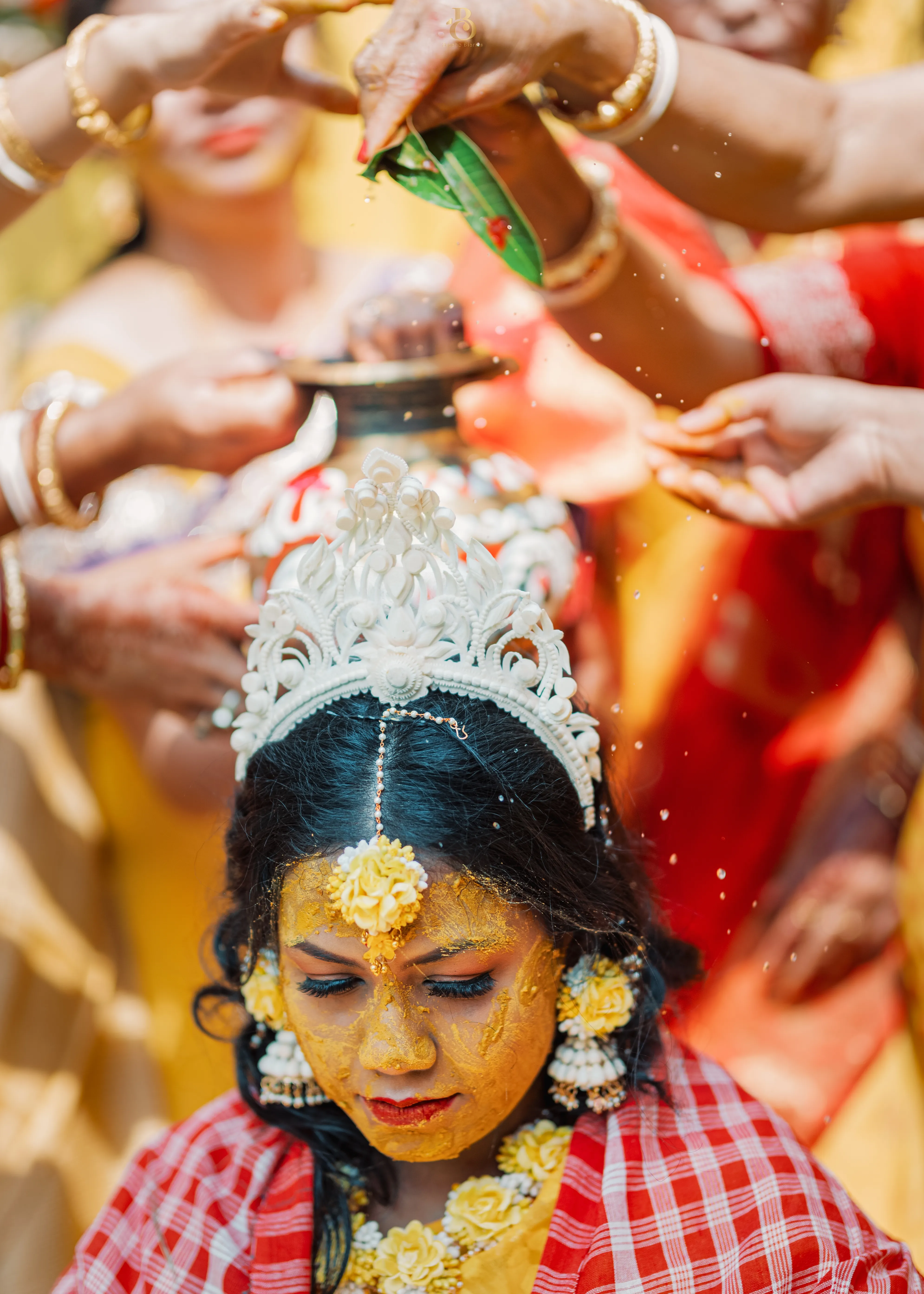 BDS_0332_result.webp - haldi